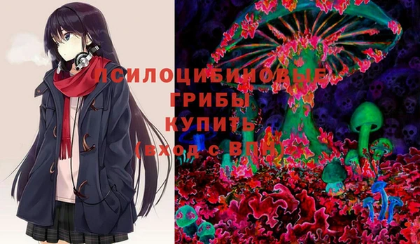 дурь Богородск